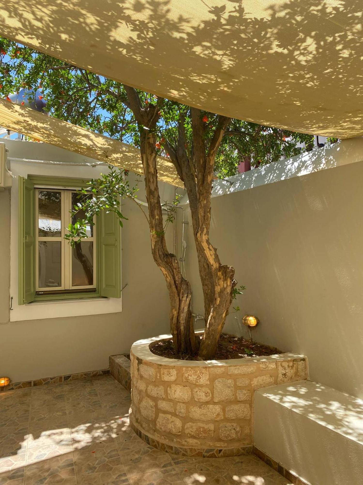 Villa Theoni Chalki Town Eksteriør billede
